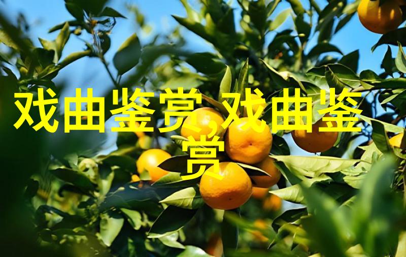 观看国家京剧院二团赵辉辉的表演