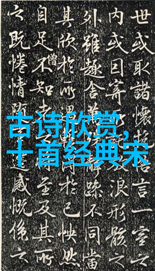 小王子与玫瑰的诗歌