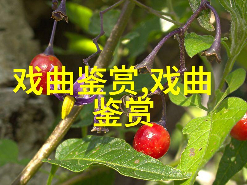 开掘人文精神寻求意象表达